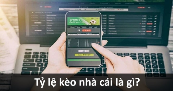 Khám phá về tỷ lệ kèo và tỉ lệ nhà cái trong bóng đá