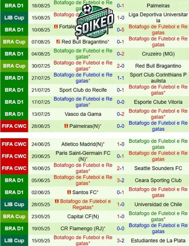Botafogo FR: Quyết Tâm Bảo Vệ Thành Quả