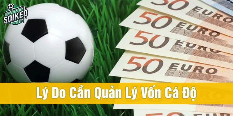 Hiểu rõ về chiến thuật quản lý vốn trong đặt cược bóng đá